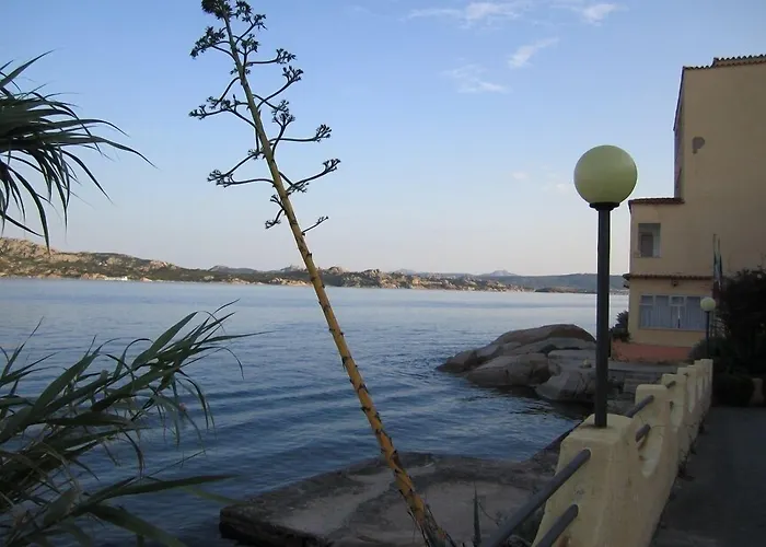 Il Gabbiano فندق 3*